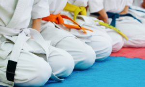 enfants-au-salut-ecole-de-judo-jiujitsu-projet-associatif-ecole-arts-martiaux mécénat